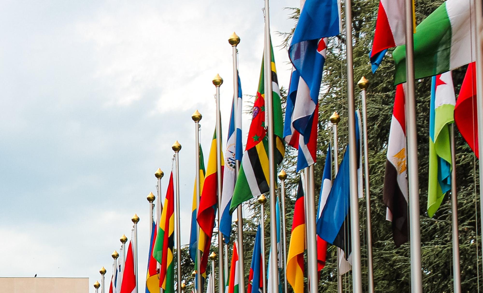United Nations flags